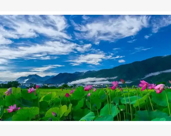 MT4交易统计功能详解轻松掌握账户盈亏全貌
