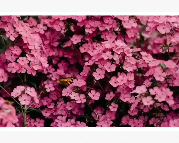 外贸B2B平台挑选实用技巧与真实经验_企业使用B2B平台的真实价值