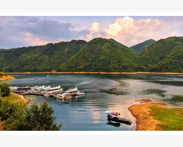 MT4模拟盘订单卡住不成交的常见原因排查_图表窗口内部的品种切换逻辑