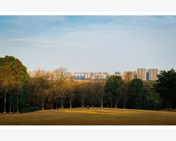 B2B商务模式重塑企业采购新格局_重新定义客户关系管理方式