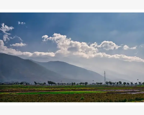 工厂防静电聚苯硫醚凝胶布关键功能与应用_农业银行B2B的核心功能与优势