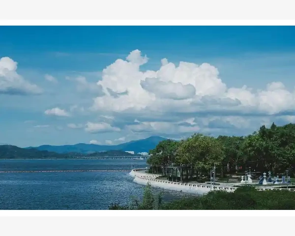 MT4图表标签堆积删到手软其实有批量处理的笨办法_通过模板功能批量管理监控布局