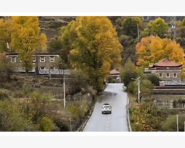 茶叶B2B网站选品与运营实战要点_茶叶B2B网站选品与运营实战要点