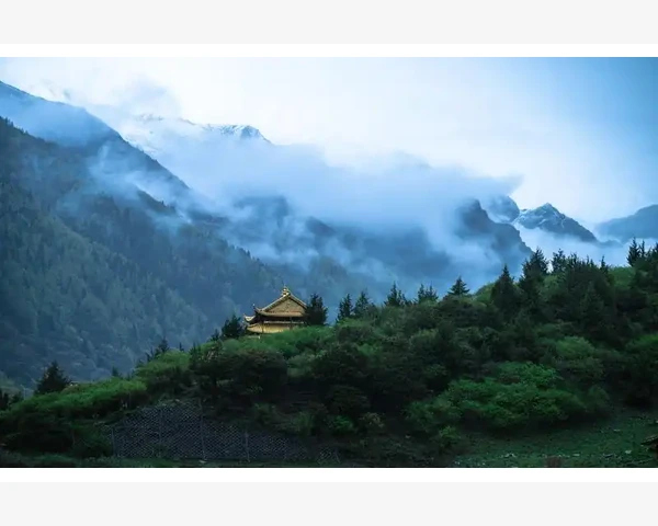 B2B平台成功案例背后的实战逻辑_主动出击构建精准采购线索池