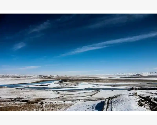 MT4账户列表消失故障排查与恢复方法
