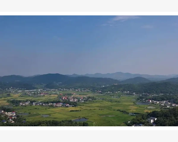 MT4模拟盘行情查看实操步骤与界面要点_解决报价不更新或显示异常的几个常见问题