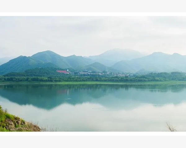 MT4电脑版连接服务器失败的常见故障排查_自定义模式单独控制每个按钮