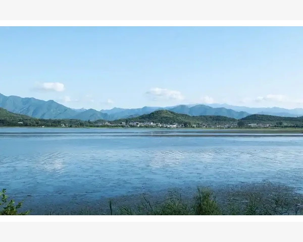烘焙包装B2B批量定制对接门店蛋糕采购_烘焙包装B2B批量定制对接门店蛋糕采购